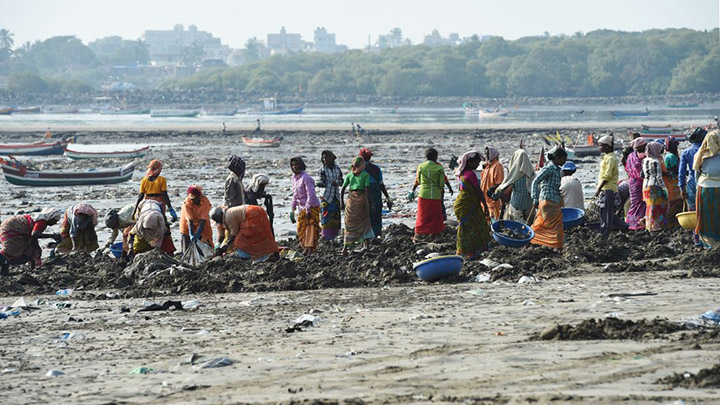 volunteers remove 12 thousand tons of plastic from beach India