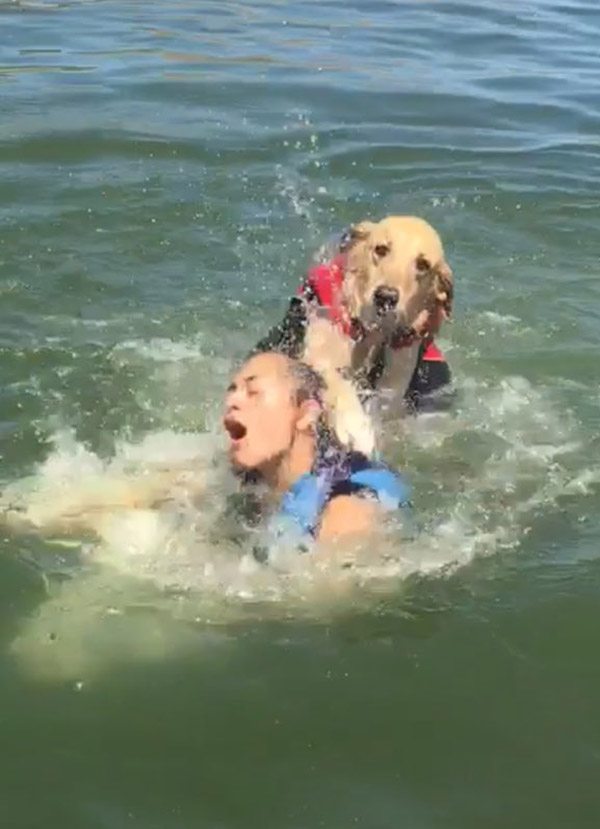 It Was A Nice Day On The Lake Until My Dog Tried To Drown My Sister