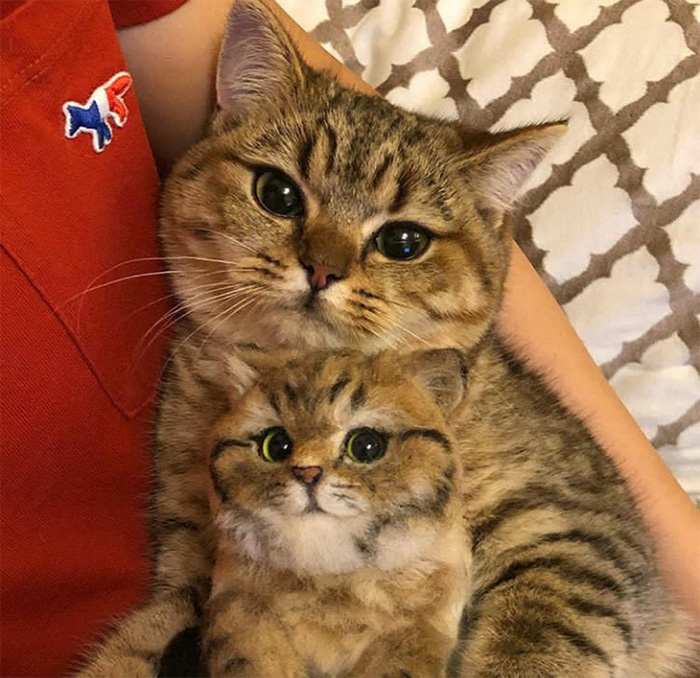 perfect replica cat and kitten