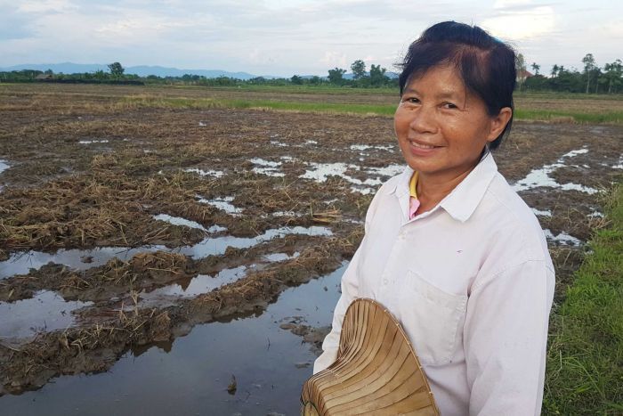 rice farmer thailand response to losing crops cave rescue