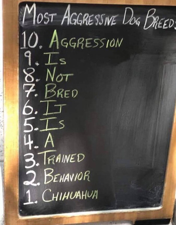most aggressive dog breeds