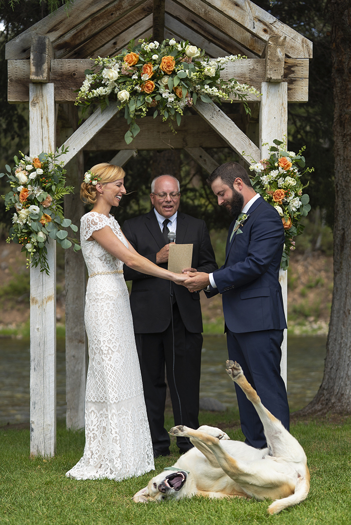 happy dog steals show at wedding