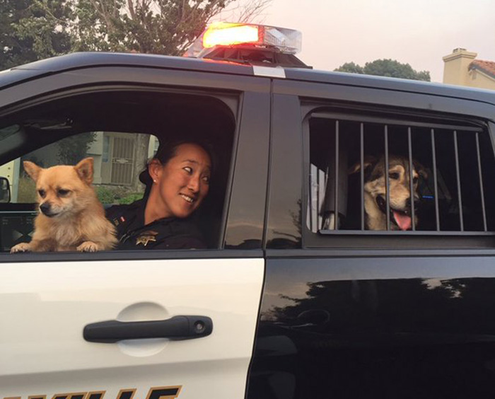 police officers rescue animals SPCA wildfire