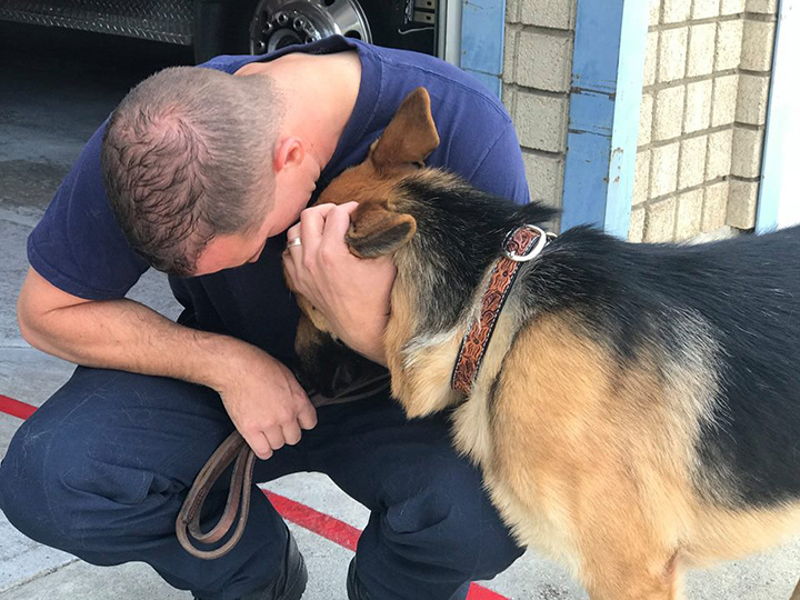 firefighters rescue dog
