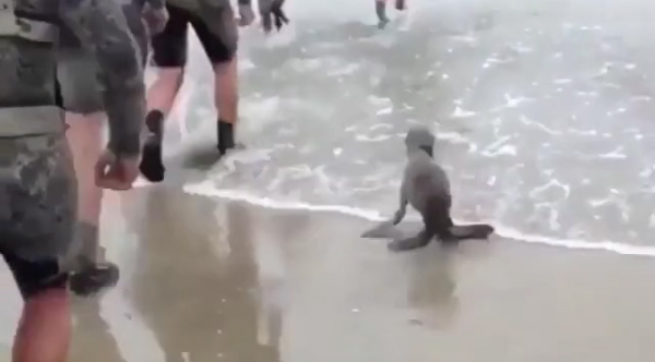 Navy SEALs Get A Much Needed Laugh When An Actual Seal Decides To Train With Them Navy SEALs Get A Much Needed Laugh When An Actual Seal Decides To Train With Them