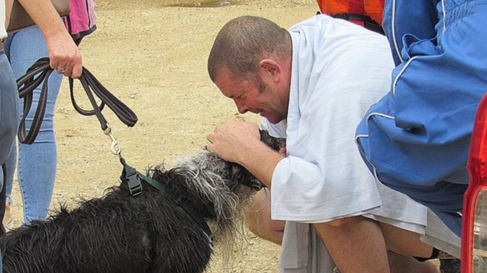 blind dog rescued at sea helicopter