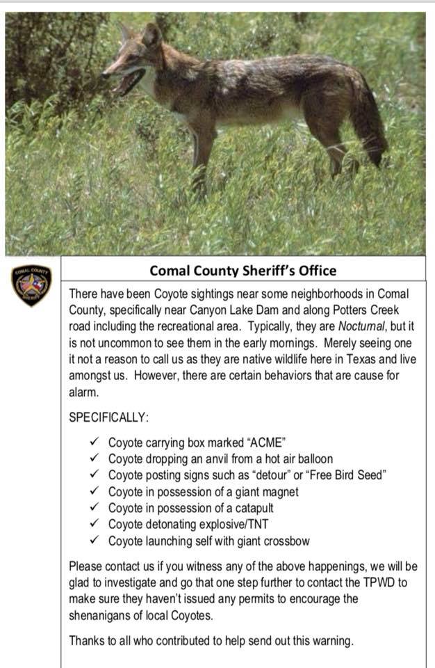 sheriff office posts coyote PSA