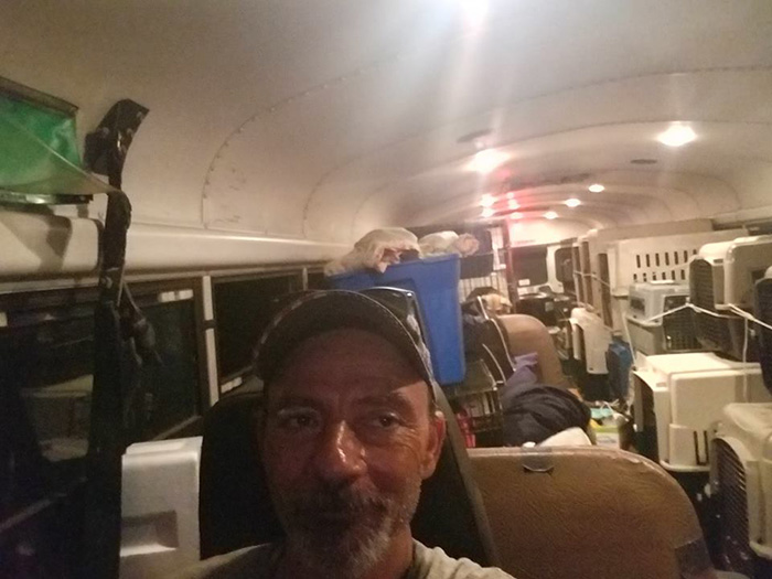 man drives school bus to save animals hurricane florence