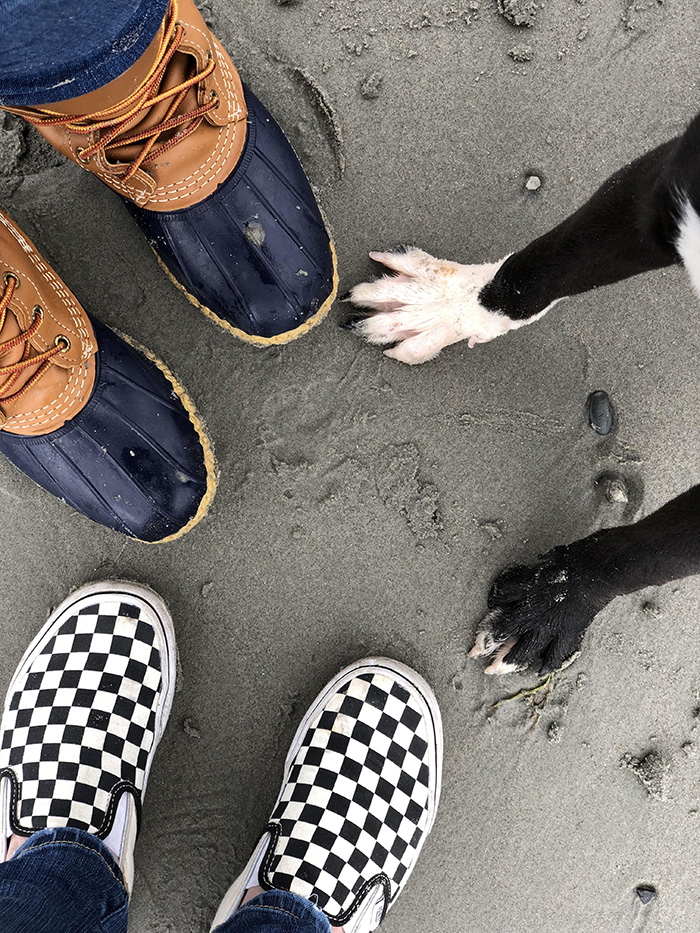 family adopts puppy takes family photo of feet