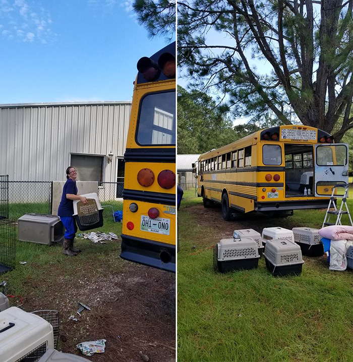 man drives school bus to save animals hurricane florence