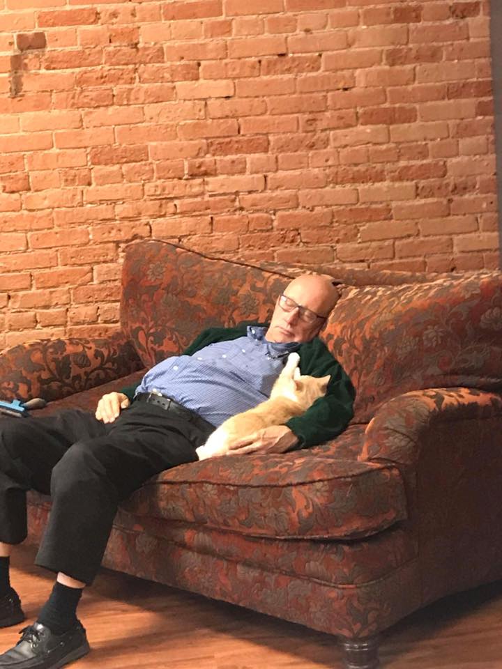 man visits cat shelter and falls asleep
