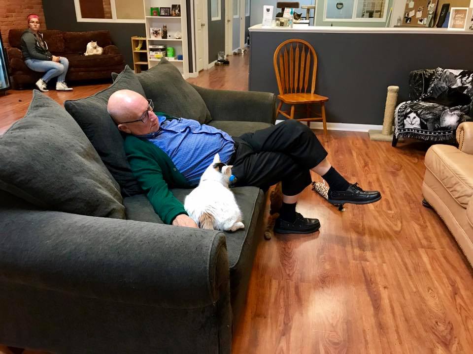 man visits cat shelter and falls asleep