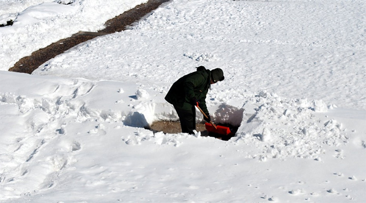 diary of a snow shoveler