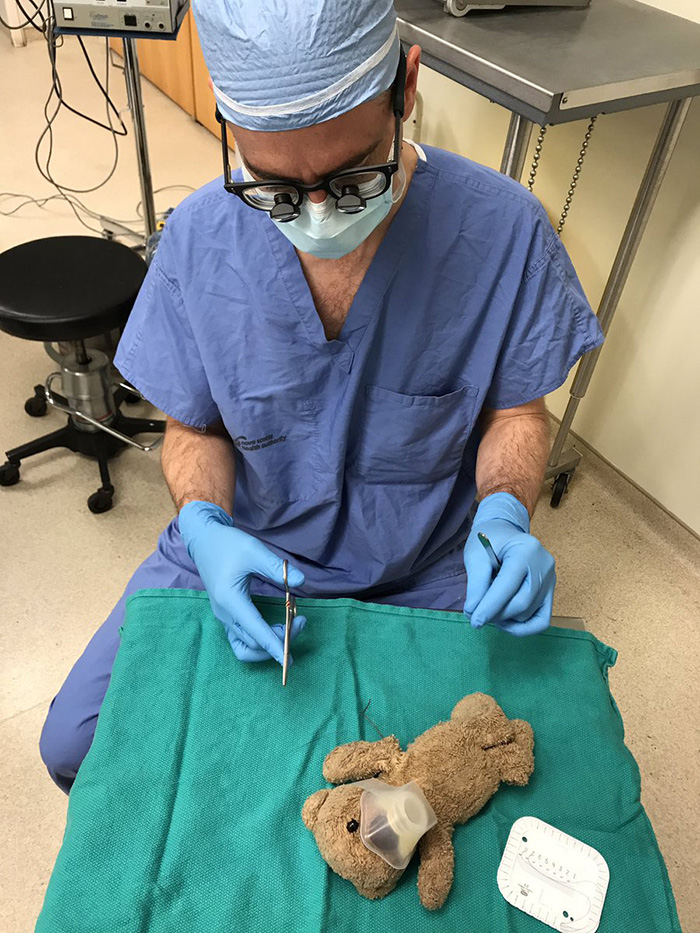 surgeon operates on teddy bear