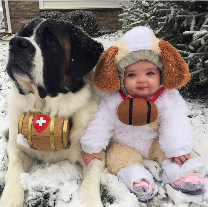 fmwt2-dog-and-baby.jpg
