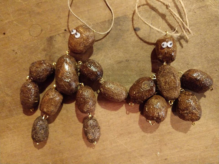 moose poop art