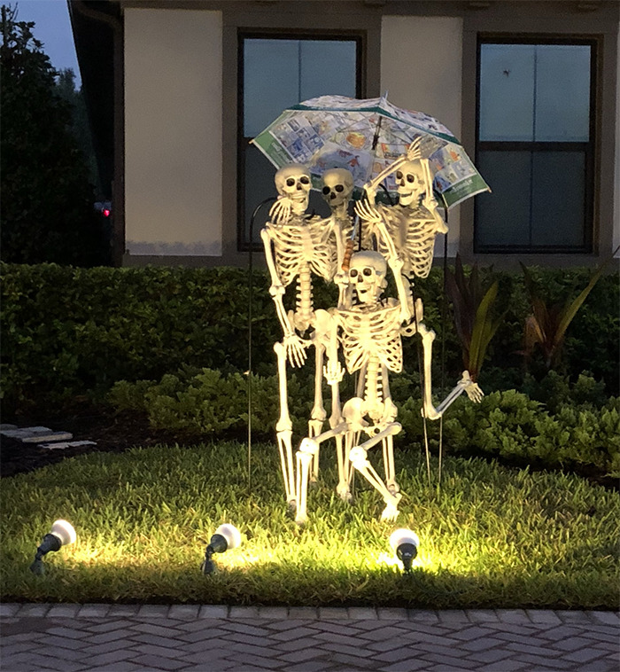 halloween skeletons funny ideas