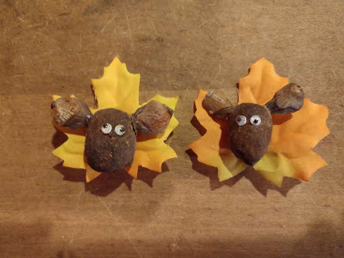 moose poop art