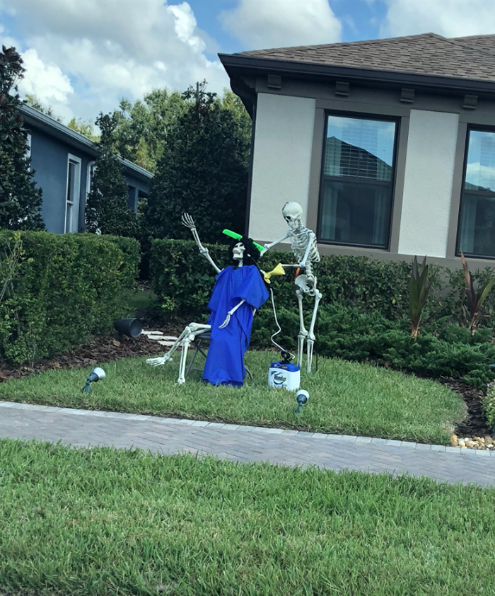 halloween skeletons funny ideas