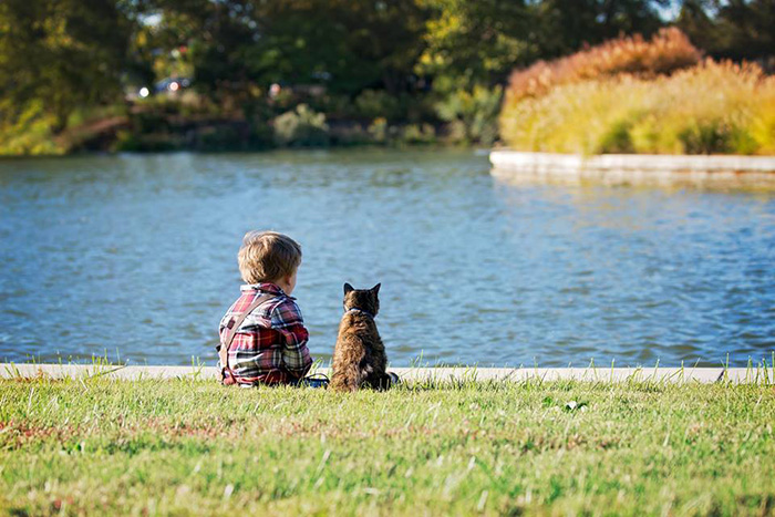 5wsum-kid-with-cat.jpg