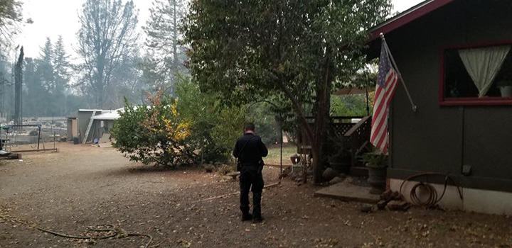 police officer feeds chickens california fires