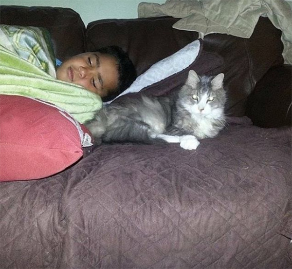 letter to animal shelter hospice cat