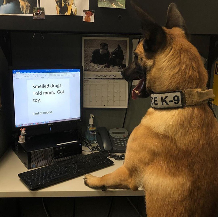 diary of police dog