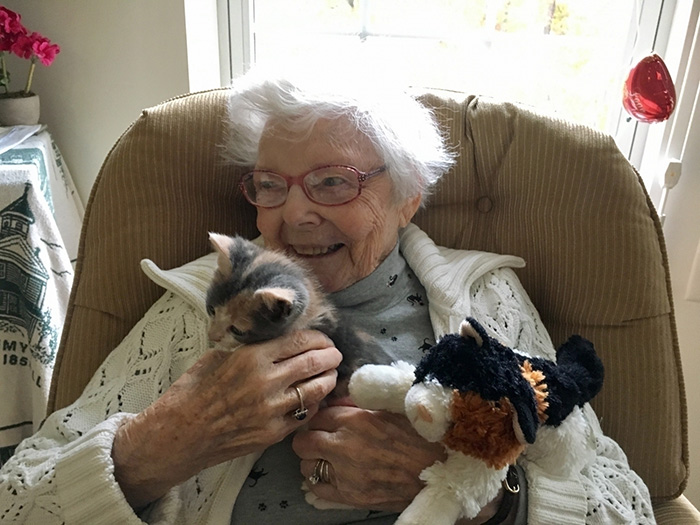 therapy kitten nursing home