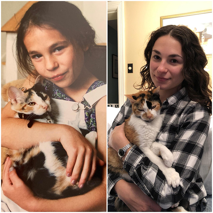 cat 22 years later