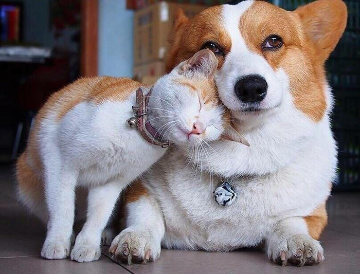 stdqr-best-friends.jpg