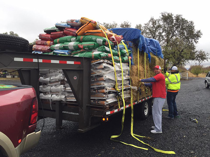 wheeler ranch feeds animals camp fire