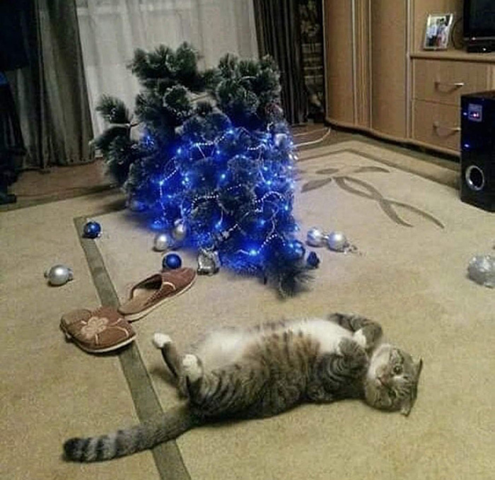 cat knocks over Christmas tree