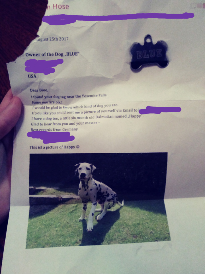 German tourists mail letter and dog tag to owner