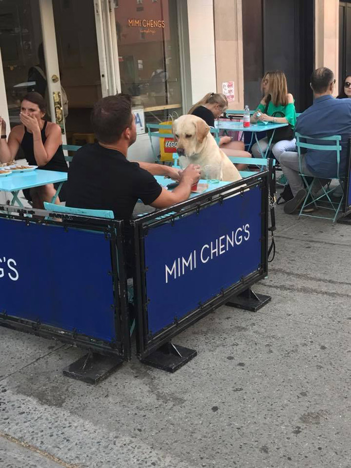 date with a dog