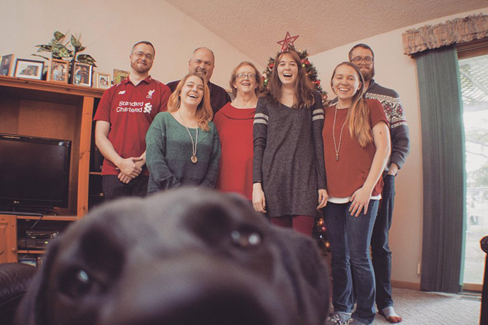 dog takes Christmas selfie