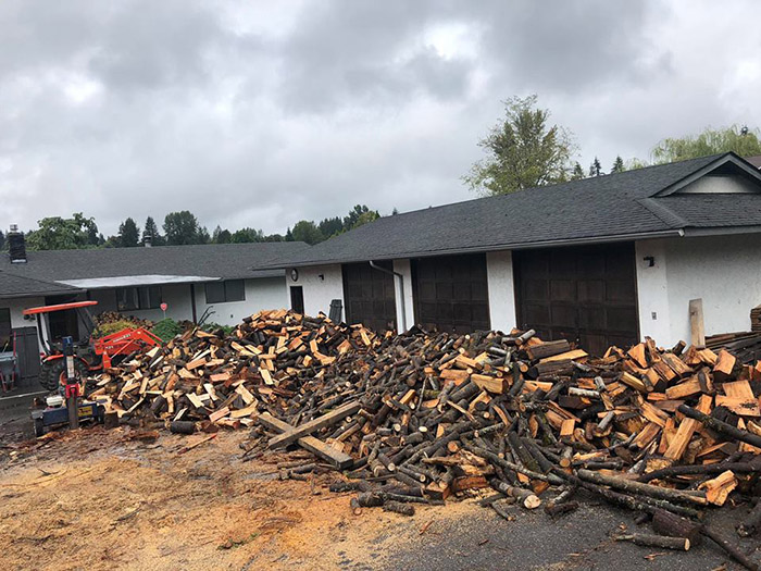 father and sons chop wood for needy