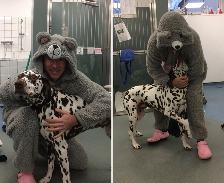 vet in mouse  costume for dog