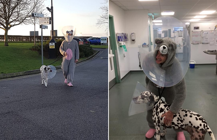 vet in mouse  costume for dog