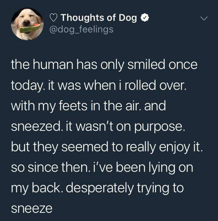wholesome tweets 2018