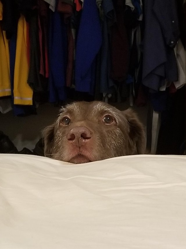 He still asks permission