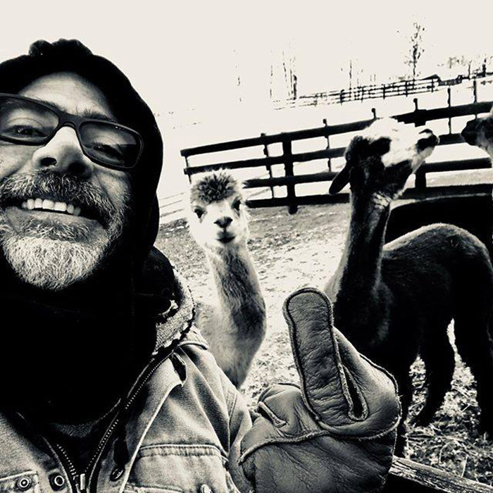 JD morgan adopts donkey and emu pair