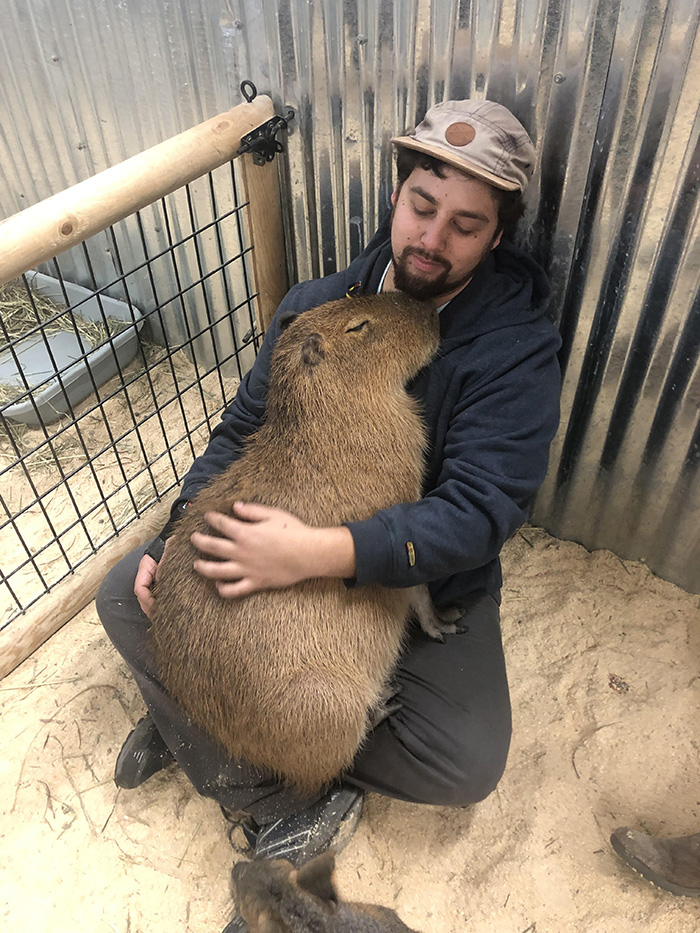 snuggle capybara