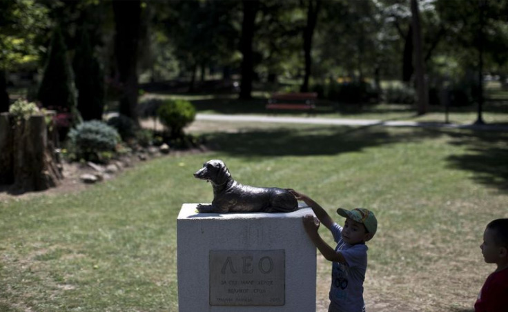 statue of dog Leo in Serbia