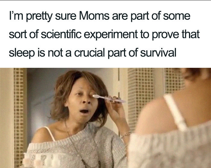 44 Hilarious Memes Only MOMS Will Understand