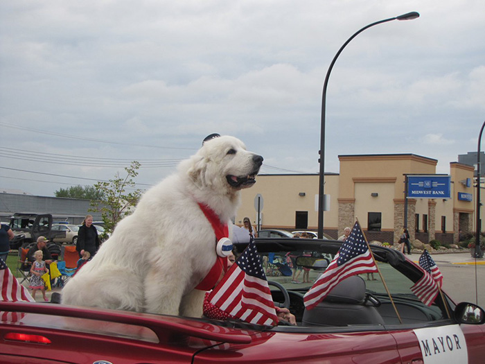 duke the dog mayor dies