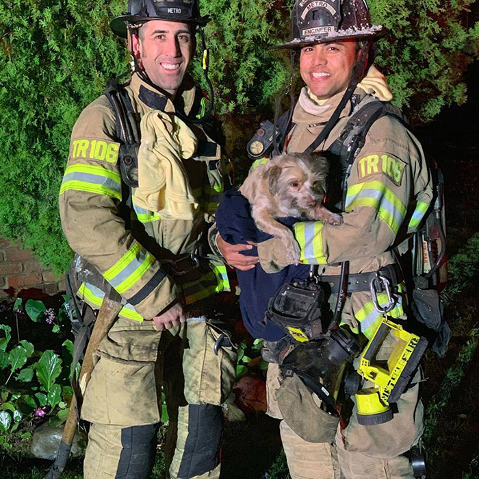 firefighters revive dog