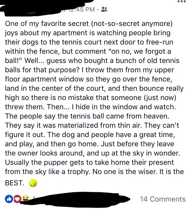 tennis balls from Heaven
