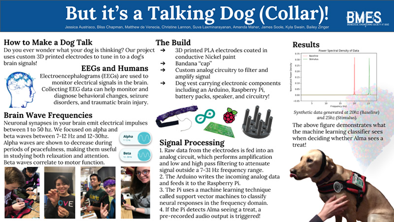 students developing talking dog collar