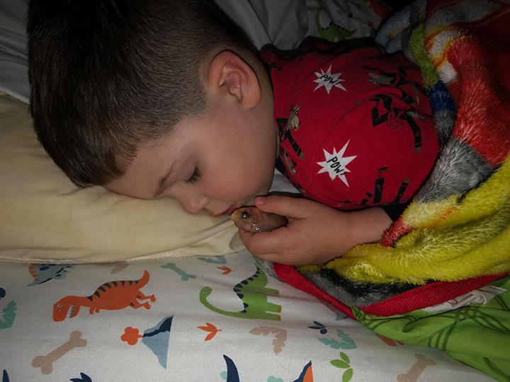 boy kills goldfish sleeping with it