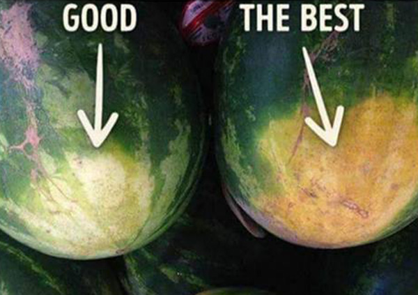 how to pick the perfect watermelon